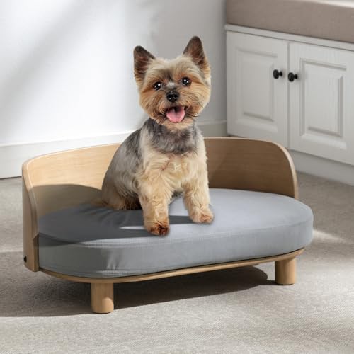 Hundebett für kleine Hunde, einzigartiges Design – Samt-Haustierbett mit Rückprallschaum, abnehmbarer, waschbarer Bezug, kratzfest, wasserdicht, schmutzabweisend, bis zu 100 kg von Tacotimo