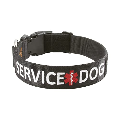 Tacticollar Hundehalsband, Nylon, verstellbar, bestickt, mit Platz für Klettverschluss-Patches (groß) 43,2–58,4 cm Länge x 3,8 cm Breite von Tacticollar