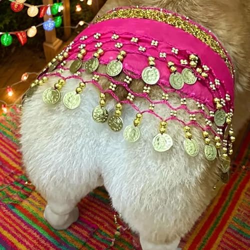 Hundekostüm mit Taillenkette und Butt Vorhang Kleidung Halloween Kostüm für Hunde Bauch Tanzstil mit Paillettenhund Halloween Kostüm für Halloween Welpe Shaking Dekoration von Tadoiooy