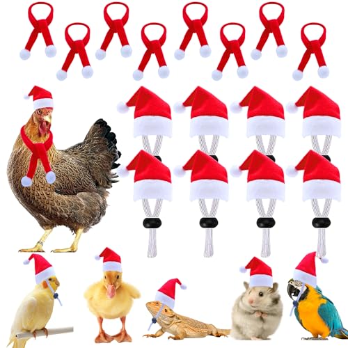 16-teiliges Weihnachts-Huhnmütze, Schal, Mini-Weihnachtsmannmütze, Schal, Weihnachtsmütze mit verstellbarem Kinnriemen für Meerschweinchen, Kaninchen, Henne, Ente, Hase, Welpen, Papagei, Eidechse, von Taefaba