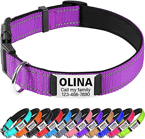 TagME Hundehalsband personalisiert, Reflektierendes gepolstertes Nylon Hundehalsband für extra große Hunde mit Namen und Telefonnummer von TagME