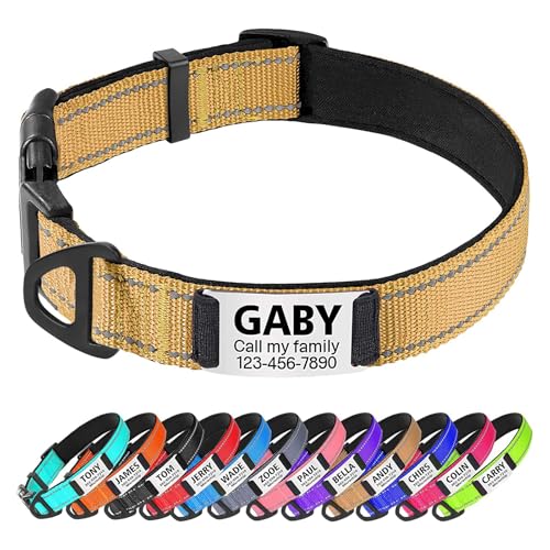 TagME Hundehalsband personalisiert, Reflektierendes gepolstertes Nylon Hundehalsband für kleine Hunde mit Namen und Telefonnummer von TagME