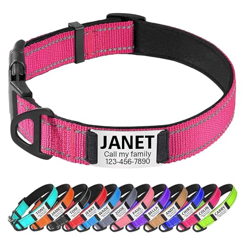 TagME Hundehalsband personalisiert, Reflektierendes gepolstertes Nylon Hundehalsband für kleine Hunde mit Namen und Telefonnummer von TagME