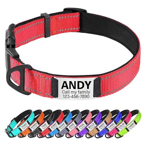 TagME Hundehalsband personalisiert, Reflektierendes gepolstertes Nylon Hundehalsband für kleine Hunde mit Namen und Telefonnummer von TagME