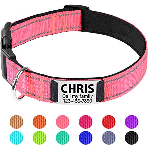 TagME Hundehalsband personalisiert, Reflektierendes gepolstertes Nylon Hundehalsband für mittelgroße Hunde mit Namen und Telefonnummer von TagME