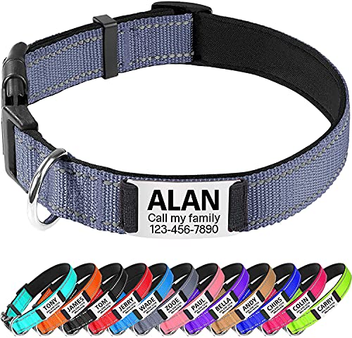 TagME Hundehalsband personalisiert, Reflektierendes gepolstertes Nylon Hundehalsband für Welpen mit Namen und Telefonnummer von TagME