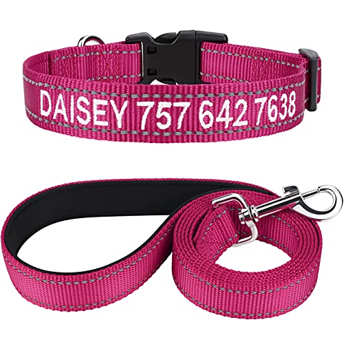 TagME Hundehalsband und Leine, Personalisierbar Reflektierendes Hundehalsband Mit 1.5M Doppelseitige Reflektierende Hundeleine für Kleine, Hot Pink von TagME