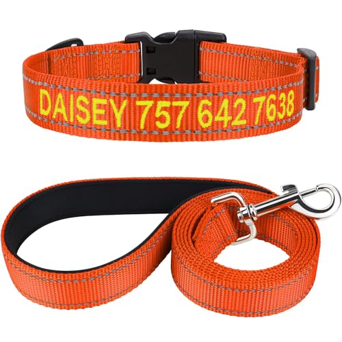 TagME Hundehalsband und Leine, Personalisierbar Reflektierendes Hundehalsband Mit 1.5M Doppelseitige Reflektierende Hundeleine für Mittelgroße, Orange von TagME