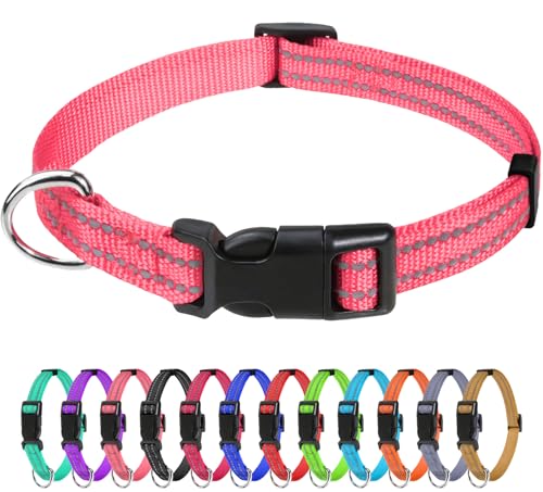 TagME Nylon Hundehalsband, Verstellbares Reflektierendes Hundehalsband mit Sicherheitsschnalle für Extra Kleine Hund, Rosa, 1.5cm Breite von TagME