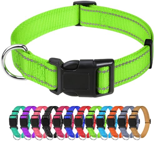 TagME Nylon Hundehalsband, Verstellbares Reflektierendes Hundehalsband mit Sicherheitsschnalle für Kleiner Hund, Grün, 2.0cm Breite von TagME