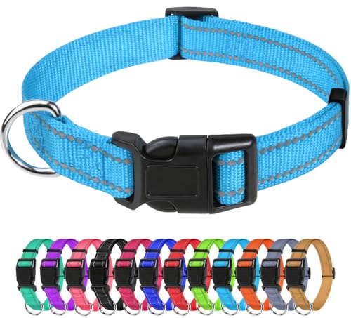 TagME Nylon Hundehalsband, Verstellbares Reflektierendes Hundehalsband mit Sicherheitsschnalle für Kleiner Hund, Himmelblau, 1.5cm Breite von TagME