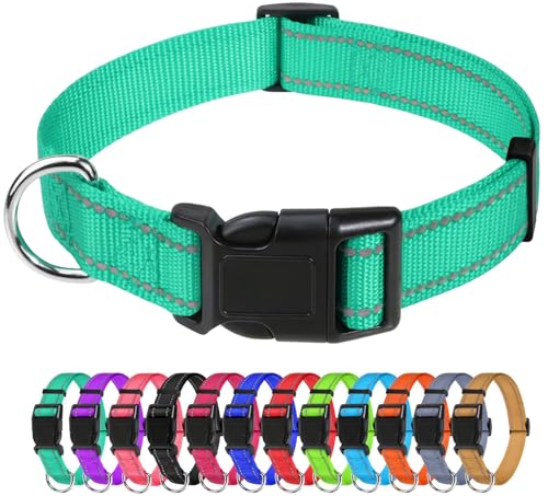 TagME Nylon Hundehalsband, Verstellbares Reflektierendes Hundehalsband mit Sicherheitsschnalle für Kleiner Hund, Türkis, 2.0cm Breite von TagME
