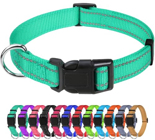 TagME Nylon Hundehalsband, Verstellbares Reflektierendes Hundehalsband mit Sicherheitsschnalle für Kleiner Hund, Türkis, 2.0cm Breite von TagME