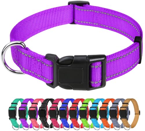 TagME Nylon Hundehalsband, Verstellbares Reflektierendes Hundehalsband mit Sicherheitsschnalle für Mittlere Hund, Lila, 2.5cm Breite von TagME