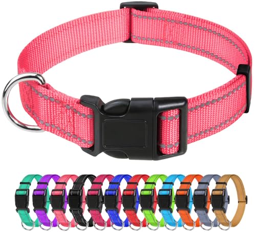 TagME Nylon Hundehalsband, Verstellbares Reflektierendes Hundehalsband mit Sicherheitsschnalle für Mittlere Hund, Rosa, 2.5cm Breite von TagME