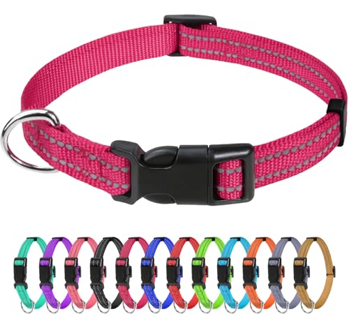 TagME Nylon Hundehalsband, Verstellbares Reflektierendes Hundehalsband mit Sicherheitsschnalle für Welpen, Hot Pink, 1.0cm Breite von TagME