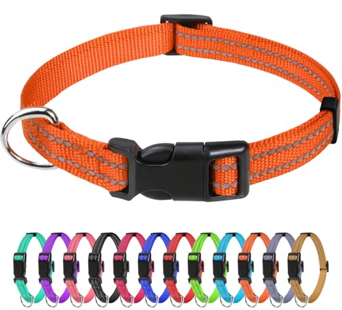 TagME Nylon Hundehalsband, Verstellbares Reflektierendes Hundehalsband mit Sicherheitsschnalle für Welpen, Orange, 1.0cm Breite von TagME