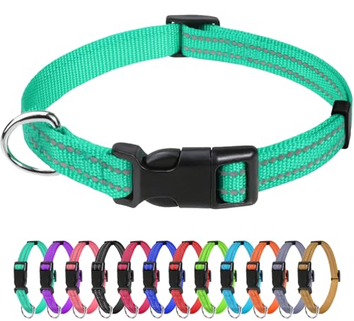 TagME Nylon Hundehalsband, Verstellbares Reflektierendes Hundehalsband mit Sicherheitsschnalle für Welpen, Türkis, 1.0cm Breite von TagME