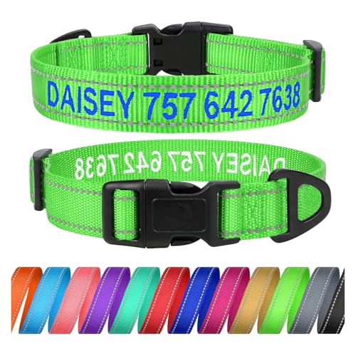 TagME Personalisierte Hundehalsband für Mittlerer Hund Mit Gestickten, Reflektierendes Nylon Hundehalsband Mit Pet Name & Telefonnummer, Grün M von TagME