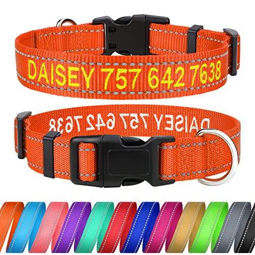 TagME Personalisierte Hundehalsband für Mittlerer Hund Mit Gestickten, Reflektierendes Nylon Hundehalsband Mit Pet Name & Telefonnummer, Orange M von TagME
