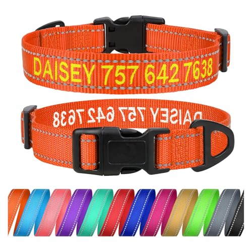 TagME Personalisierte Hundehalsband für Mittlerer Hund Mit Gestickten, Reflektierendes Nylon Hundehalsband Mit Pet Name & Telefonnummer, Orange M von TagME