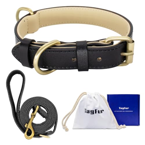 Tagfur Leder Hundehalsband mit Leine, Gepolstert und Verstellbar Hundehalsband und Leine Set, Hundehalsband Leder für Kleine Mittlere Große Hunde, Nicht Leicht zu Brechen(Schwarz, L) von Tagfur