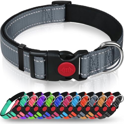 Taglory Hundehalsband, Weich Gepolstertes Neopren Nylon Hunde Halsband für Große Hunde, Verstellbare und Reflektierend für das Training, Grau von Taglory