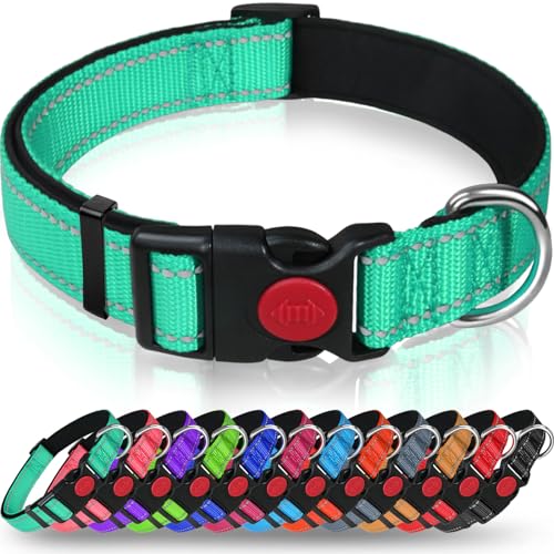 Taglory Hundehalsband, Weich Gepolstertes Neopren Nylon Hunde Halsband für Welpen, Verstellbare und Reflektierend für das Training, Türkis von Taglory