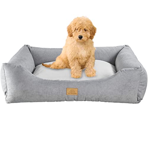 Tagträumer Hundebett Joy, waschbar, grau, 75 × 55 × 20 cm, kuschelig für mittelgroße Hunde, ergonomisches Hundesofa, Bezugoberseite mit kuschligem Kurzflor von Tagträumer