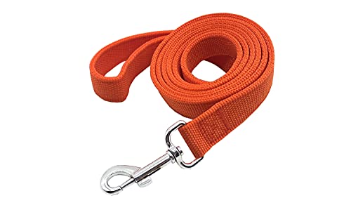 Robuste Hundeleine, 2-lagig, Nylon, 1,8 m lang, 2,5 cm breit, für kleine, mittelgroße und große Hunde (orange) von Taida