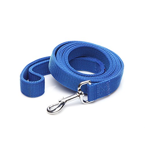 Robuste Hundeleine aus Nylon, 2-lagig, 1,2 m, 1,8 m lang, 2,5 cm breit, für mittelgroße und große Hunde, Blau, 2,5 x 60 cm von Taida