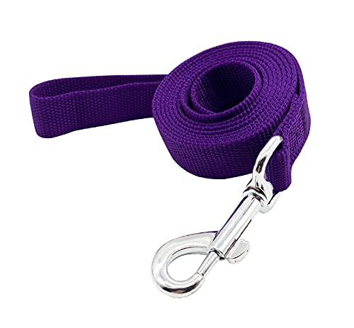 Trainingsleine aus Nylon, Traktionsseil, 1,2 m lang, 1,9 cm breit, 2,5 cm breit, für kleine und mittelgroße Hunde (2,5 x 1,2 m, Violett) von Taida