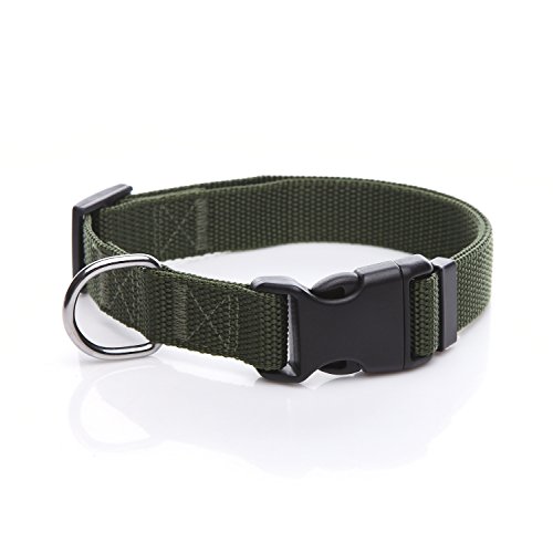 Verstellbares Nylon-Hundehalsband, langlebig, 2,5 cm, 1,9 cm, 1,6 cm breit, für große, mittelgroße und kleine Hunde (1,6 cm, grün) von Taida