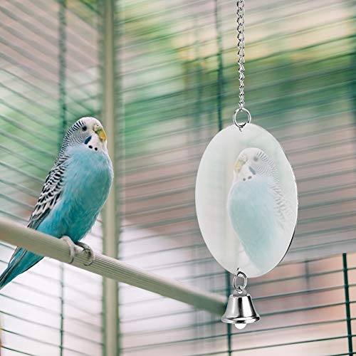 Shanrya Taidda- Parrot HangingMirror Bird Hanging Mirror Edelstahl Bird Mirror, Mirror, für Bird Mirror Bird Cage Bird Hanging Chain 186G von Taidda