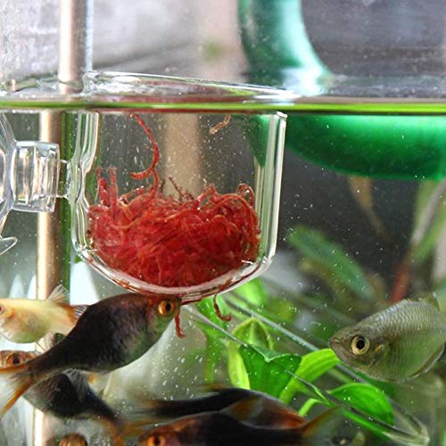 Taidda- Aquarium Feeder, Fischfütterungsbecher Fixpunktfütterung Red Worm Feeding Cup, Houeshold Fischertank für Wasserwürmer Glass Slit Cup von Taidda