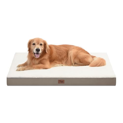 Orthopädisches Hundebett für extra große Hunde, XL, wasserdichtes Hundebett für große Hunde, Eierkisten-Schaumstoff-Hundebett mit abnehmbarem, waschbarem Oxford-Kühlbezug, Khaki-Weiß von Tail Stories