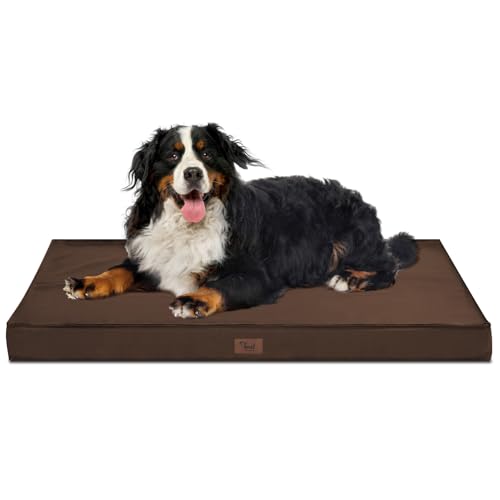 Tail Stories Hunde- und Katzenbett, wasserdicht, abnehmbarer Bezug, orthopädisches Schaumstoff-Haustierbett mit waschbarem und abnehmbarem Bezug, wasserdichte Unterseite (Jumbo-XL, braun) von Tail Stories