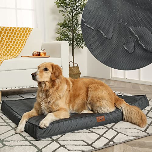 Tail Stories Orthopädisches Hundebett, wasserdichte Hundebetten für mittelgroße/große/extra große Hunde, tragbares Hundesofa mit Eierkäfig-Schaumstoffboden und abnehmbarem, waschbarem Kühlbezug von Tail Stories