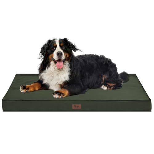 Tail Stories Outdoor Allwetter-Hundebett, wasserdichtes Hundebett für große Hunde, orthopädisches Eierschaum-Haustierbett mit waschbarem und abnehmbarem Oxford-Kühlbezug von Tail Stories