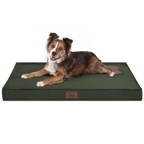 Tail Stories Outdoor Allwetter Hundebett Wasserdichtes Hundebett für große Hunde Orthopädisches Eierschaum Haustierbett mit waschbarem und abnehmbarem Oxford-Kühlbezug von Tail Stories