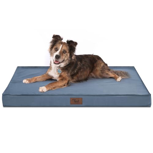 Tail Stories Outdoor Hundebett, Wasserdichtes Hundebett für Große Hunde, Orthopädisches Eierschaum-Haustierbett mit waschbarem und abnehmbarem Oxford-Kühlbezug, Hellblau, L von Tail Stories