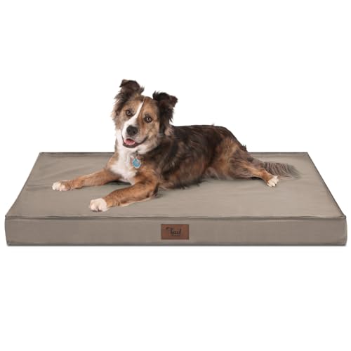 Tail Stories Outdoor Hundebett, Wasserdichtes Hundebett für große Hunde, orthopädisches Eierschaum-Haustierbett mit waschbarem und abnehmbarem Oxford-Kühlbezug, Khaki L Tail Stories Outdoor Hundebett, Wasserdichtes Hundebett für große Hunde, orthopädisches Eierschaum-Haustierbett mit waschbarem und abnehmbarem Oxford-Kühlbezug, Khaki L von Tail Stories