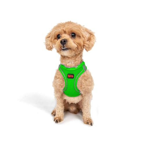 Tailpetz Air-Mesh Brusthalsband (Neon-Green, 2XS) von Tailpetz