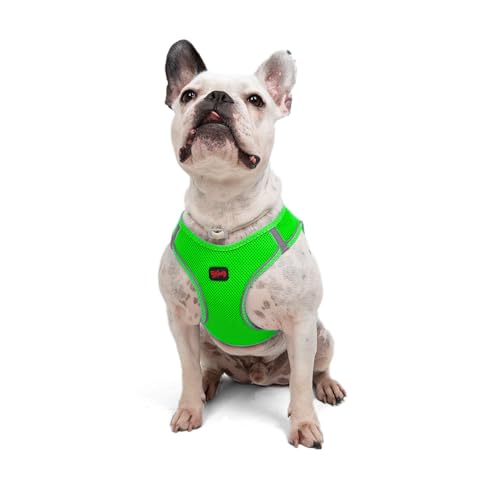 Tailpetz Air-Mesh Brusthalsband (Neon-Grün, Large) von Tailpetz