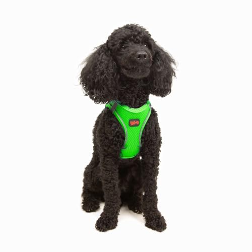 Tailpetz Air-Mesh Brusthalsband (Neon-Grün, XSmall) von Tailpetz