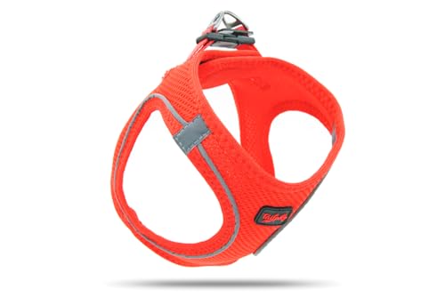 Tailpetz | Air-Mesh Harness | Hundegeschirr - Hundegeschirr - Hundegeschirr für kleine, mittelgroße Hunde, Mesh-Typ, verstellbar & einfach anziehen, Anti Zug Geschirr reflektierend (Garnet, 3XS) von Tailpetz