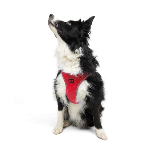 Tailpetz | Air-Mesh Harness | Hundegeschirr - Hundegeschirr - Hundegeschirr für kleine, mittelgroße Hunde, Mesh-Typ, verstellbar & einfach anziehen, Anti Zug Geschirr reflektierend (Garnet, XL) von Tailpetz