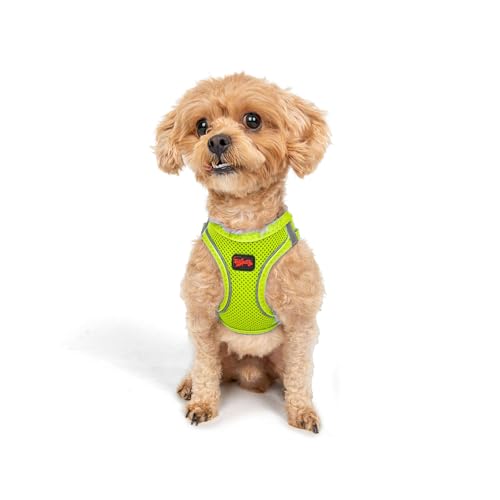 Tailpetz Air Mesh Step In Vest Hundegeschirr für Mittlere und Kleine Hunde, Neon Limette 2XS von Tailpetz