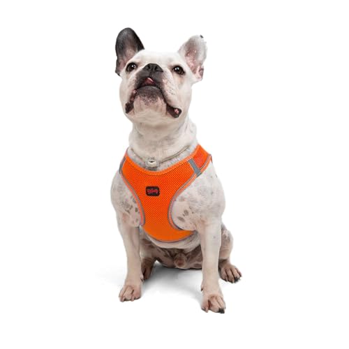 Tailpetz Air Mesh Step In Vest Hundegeschirr für Mittlere und Kleine Hunde, Neon Orange L von Tailpetz