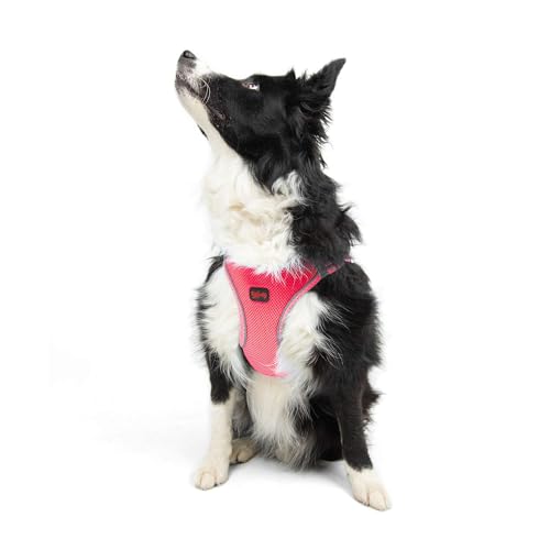 Tailpetz Air Mesh Step In Vest Hundegeschirr für Mittlere und Kleine Hunde, Neon Rosa XL von Tailpetz